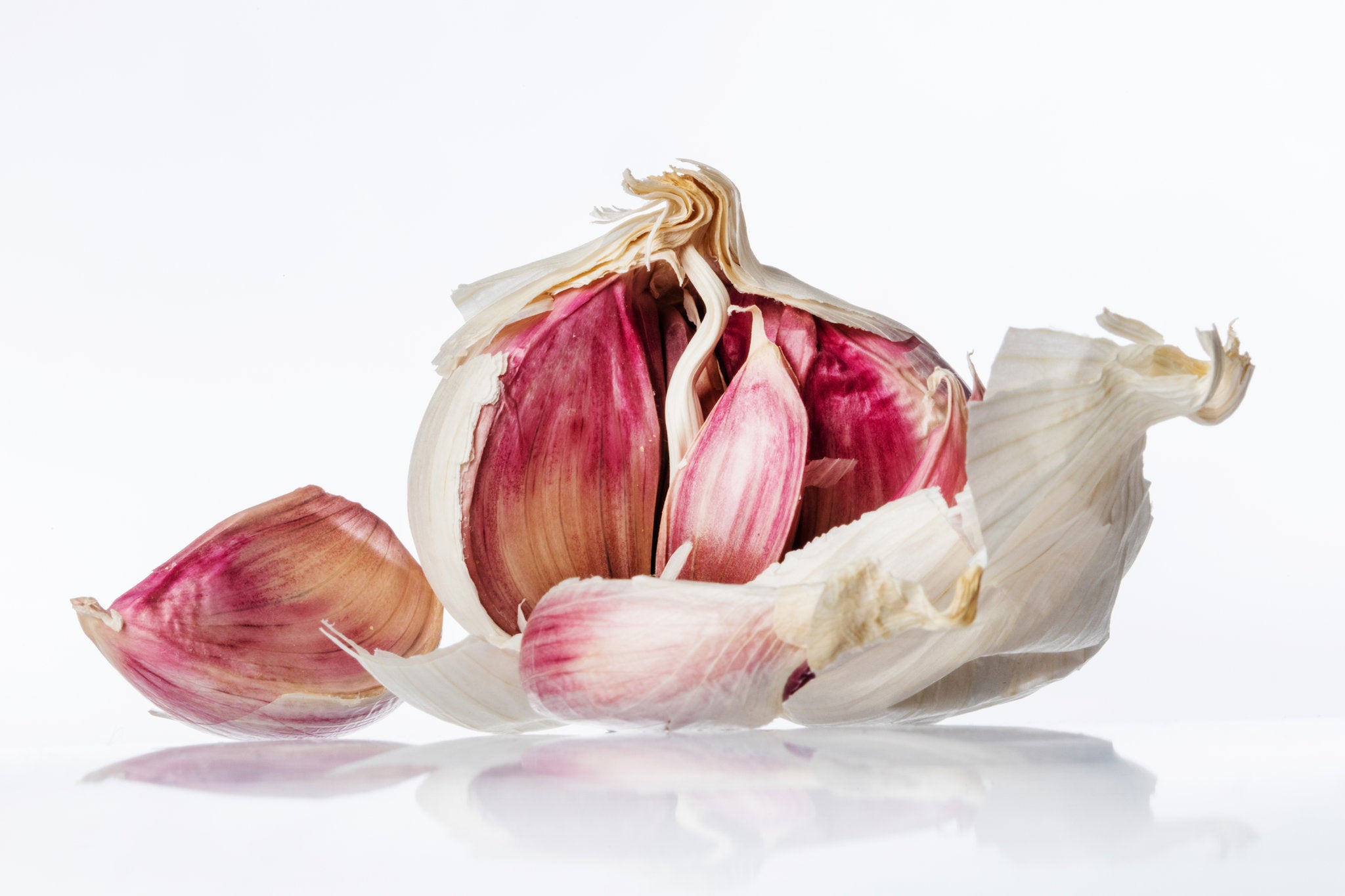 Wholesale Purple Garlic (Allium sativum)