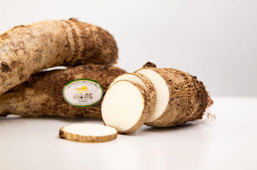 Wholesale Malanga Blanca (Xanthosoma sagittifolium)