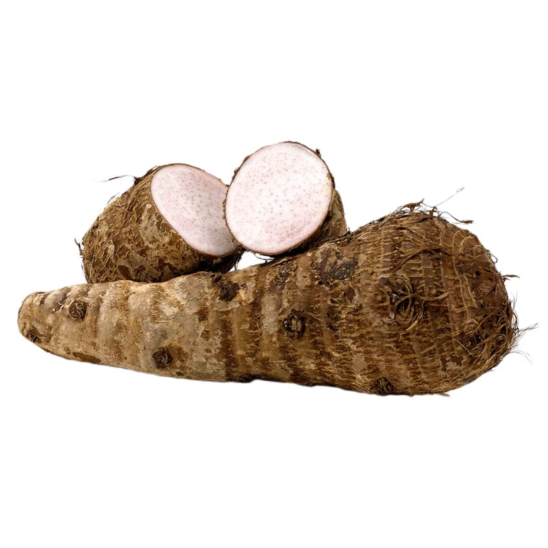 Wholesale Malnaga Lila (Xanthosoma violaceum)